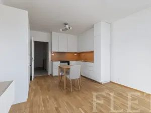 Pronájem bytu 1+kk, Praha - Karlín, Švarcova, 36 m2