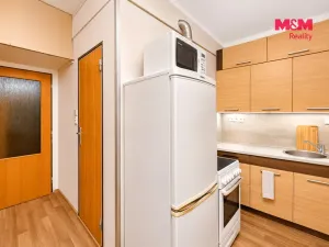Prodej bytu 1+1, Vysoké Mýto - Litomyšlské Předměstí, U Potoka, 38 m2