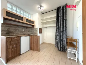 Pronájem bytu 1+kk, Ostrava - Moravská Ostrava, Petra Křičky, 28 m2