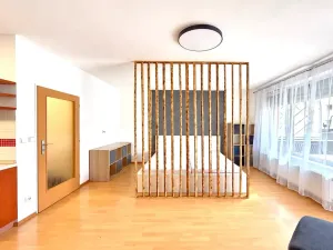 Pronájem bytu 1+kk, Brno, Bělohorská, 41 m2