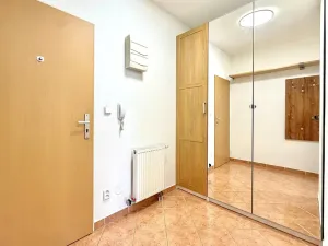 Pronájem bytu 1+kk, Brno, Bělohorská, 41 m2