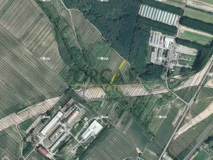 Prodej podílu pole, Moravský Písek, 233 m2