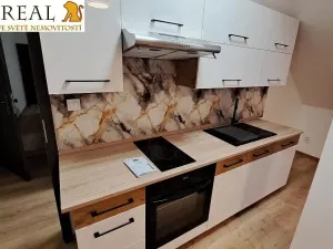 Pronájem bytu 1+1, Šebrov-Kateřina, 30 m2