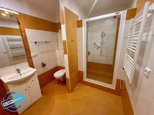 Pronájem bytu 1+1, Opava, Šrámkova, 38 m2