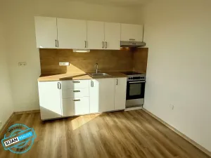 Pronájem bytu 1+1, Opava, Šrámkova, 38 m2