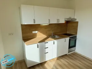 Pronájem bytu 1+1, Opava, Šrámkova, 38 m2