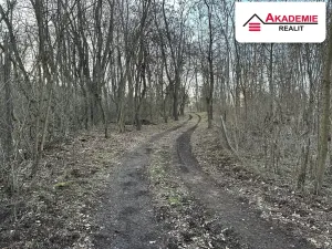 Prodej chaty, Brno, 90 m2