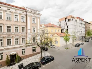 Pronájem bytu 2+1, Praha - Vinohrady, Máchova, 80 m2