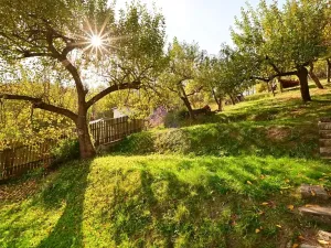 Prodej rodinného domu, Hvězdonice, 135 m2