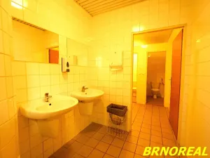Pronájem kanceláře, Brno, Příkop, 20 m2
