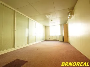 Pronájem kanceláře, Brno, Příkop, 20 m2