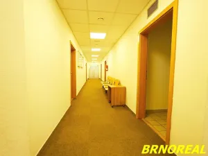 Pronájem kanceláře, Brno, Příkop, 20 m2