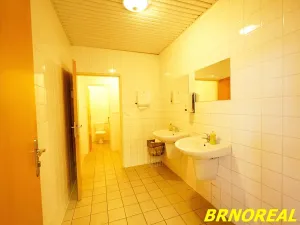Pronájem kanceláře, Brno, Příkop, 20 m2