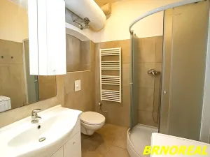 Pronájem bytu 1+kk, Brno, Vodní, 20 m2
