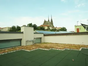 Pronájem bytu 1+kk, Brno, Vodní, 20 m2