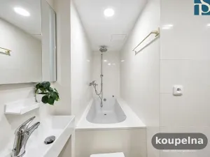 Prodej bytu 1+1, Praha - Vinohrady, Na Kozačce, 48 m2