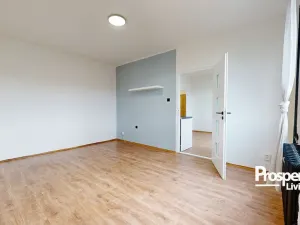 Prodej bytu 1+1, Ústí nad Labem - Střekov, Truhlářova, 37 m2