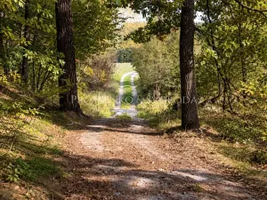 Prodej rodinného domu, Benešov nad Černou, 217 m2