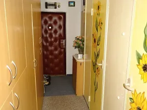 Prodej bytu 1+1, Frýdek-Místek, Třanovského, 35 m2