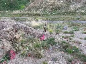 Prodej rodinného domu, Litvínov, 115 m2
