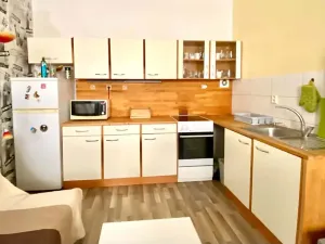 Pronájem bytu 1+1, Brno, Pekařská, 28 m2