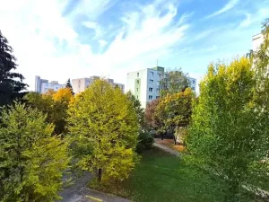 Prodej bytu 2+1, Rokycany, Soukenická, 67 m2