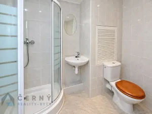 Pronájem bytu 1+1, Liberec, Řídkého, 36 m2