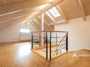 Prodej rodinného domu, Bílovice nad Svitavou, 287 m2
