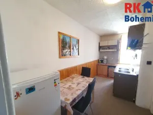 Prodej bytu 1+1, Benátky nad Jizerou, Dražická, 42 m2
