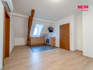 Pronájem bytu 3+kk, Bor, Školní, 55 m2