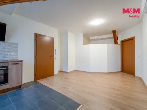 Pronájem bytu 3+kk, Bor, Školní, 55 m2