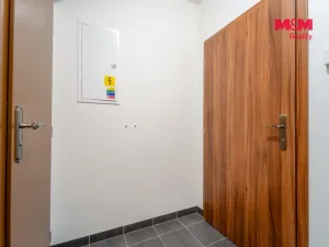Pronájem bytu 3+kk, Bor, Školní, 55 m2
