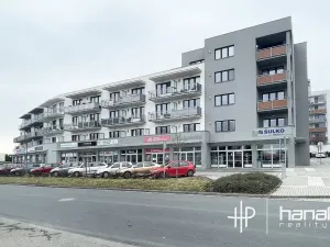 Pronájem bytu 1+kk, Olomouc, Čajkovského, 34 m2