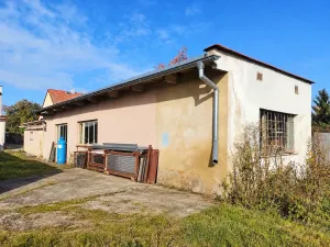 Prodej rodinného domu, Údlice, Droužkovická, 214 m2