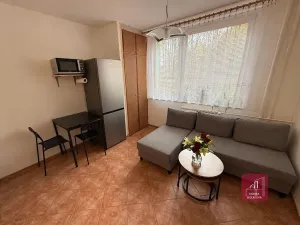 Pronájem bytu 1+1, Brno, Herčíkova, 35 m2