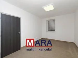 Pronájem bytu 1+kk, Olomouc, Přichystalova, 47 m2