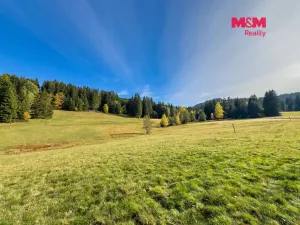 Prodej zemědělské usedlosti, Krásná, 170 m2