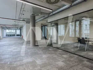 Pronájem kanceláře, Praha - Nové Město, Václavské náměstí, 326 m2