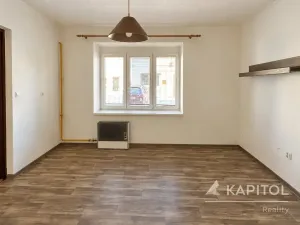 Prodej bytu 1+kk, Planá, Hřbitovní, 30 m2