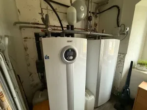 Prodej zemědělské usedlosti, Františkovy Lázně, 200 m2