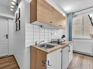 Pronájem bytu 1+kk, Česká Lípa, Mlýnská, 40 m2