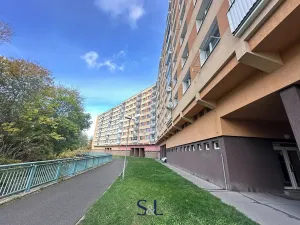 Pronájem bytu 3+1, Chomutov, Bezručova, 83 m2