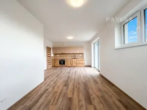 Pronájem bytu 2+kk, České Budějovice, Doudlebská, 67 m2