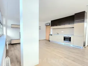 Pronájem bytu 2+kk, Brno, Palackého třída, 61 m2