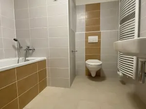 Pronájem bytu 1+kk, Olomouc, Edmunda Husserla, 37 m2