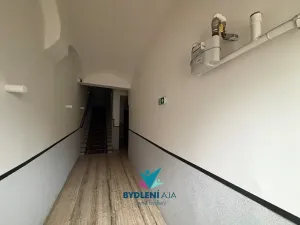 Prodej domu, Teplice, Laubeho náměstí, 425 m2