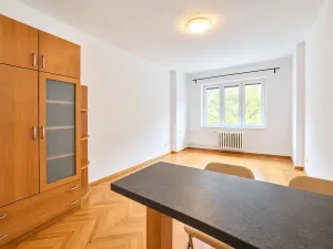 Pronájem bytu 1+kk, Praha - Žižkov, Biskupcova, 30 m2