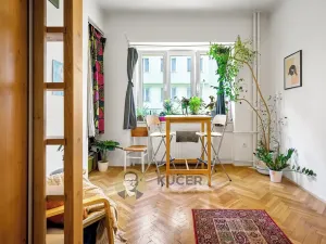 Pronájem bytu 1+kk, Praha - Vinohrady, V Horní Stromce, 22 m2