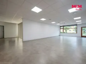 Pronájem obchodního prostoru, Most, Obránců míru, 90 m2