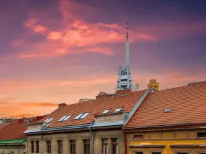 Prodej bytu 2+1, Praha - Žižkov, Bořivojova, 77 m2